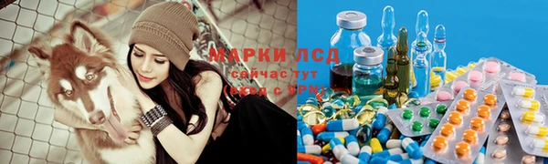 круглые Абаза