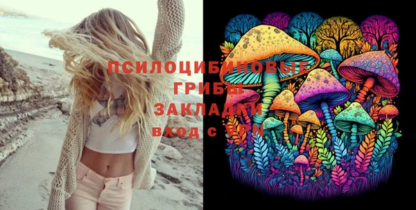 круглые Абаза