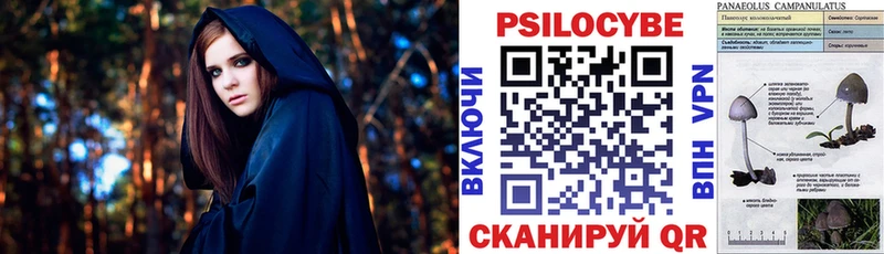 как найти   Сокол  Псилоцибиновые грибы мухоморы 