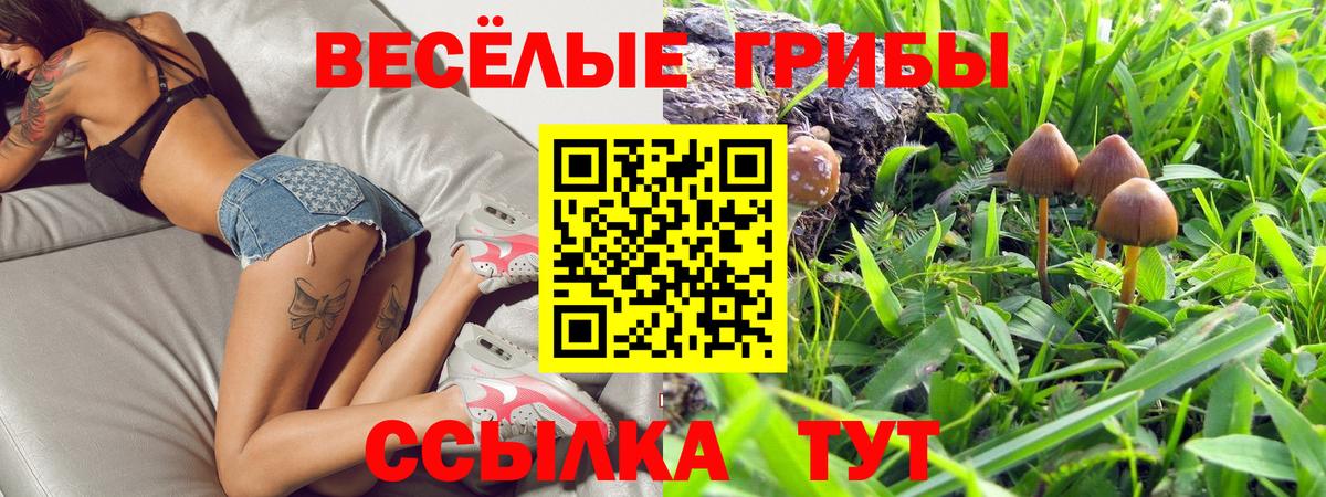 Сокол  Псилоцибиновые грибы Cubensis  где купить наркотик  Вход с VPN 