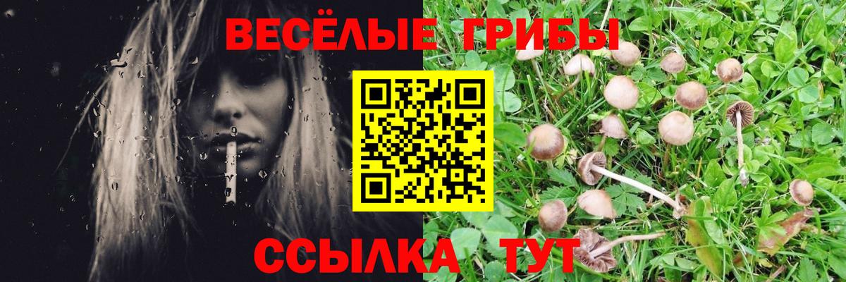 Галлюциногенные грибы мицелий Сокол